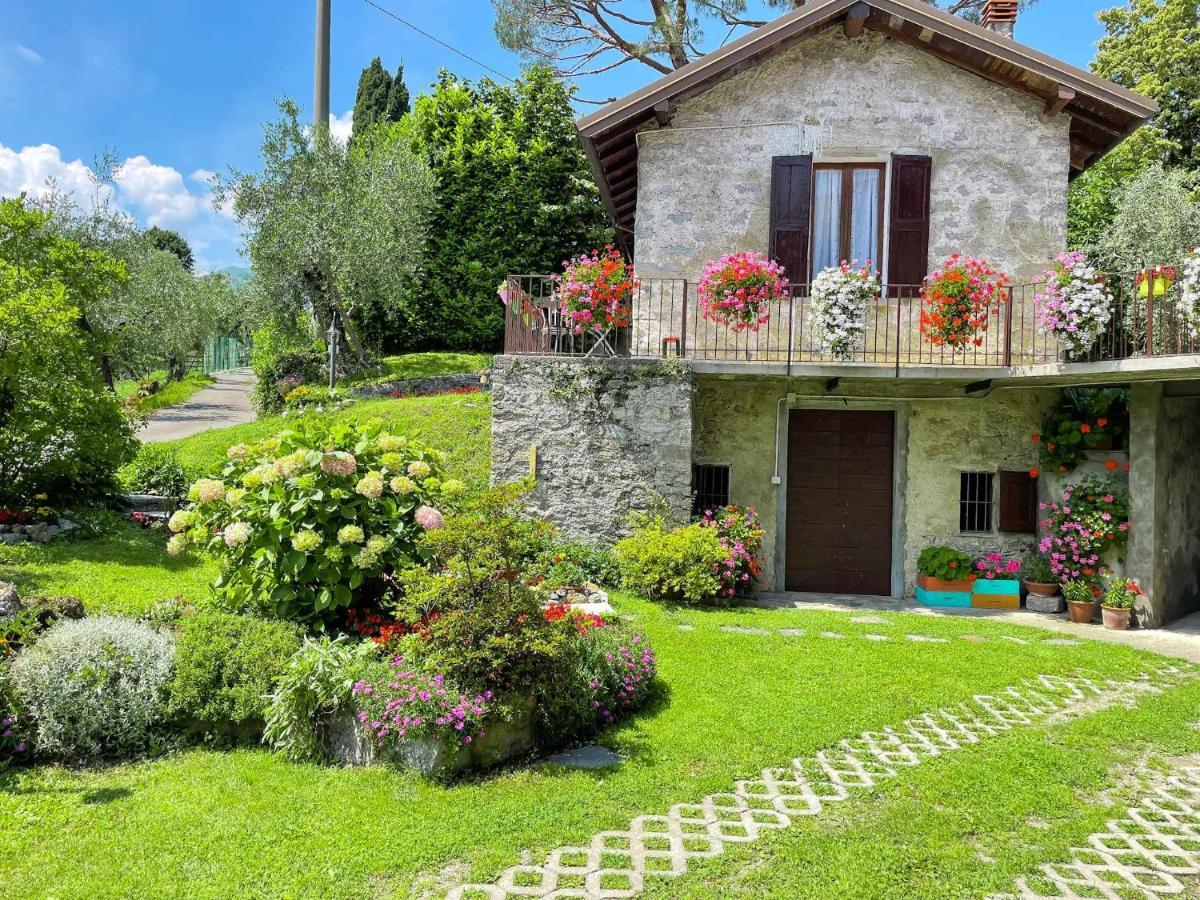 Breva Loft Tra Gli Ulivi Ed Il Lago Bellagio Extérieur photo
