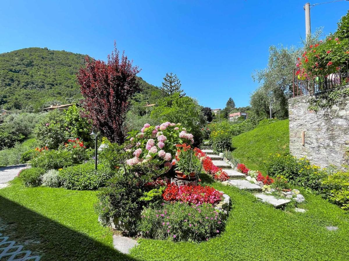 Breva Loft Tra Gli Ulivi Ed Il Lago Bellagio Extérieur photo