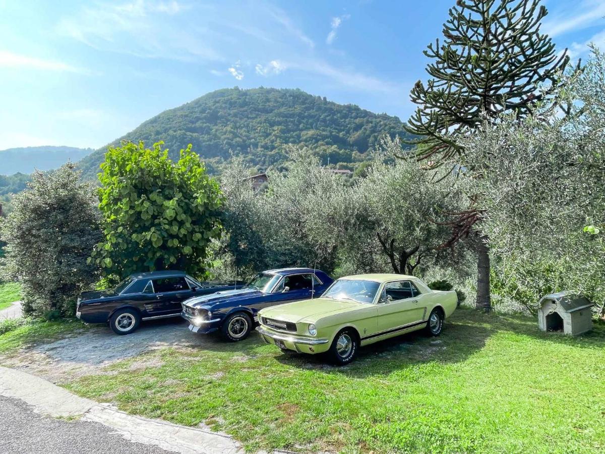 Breva Loft Tra Gli Ulivi Ed Il Lago Bellagio Extérieur photo